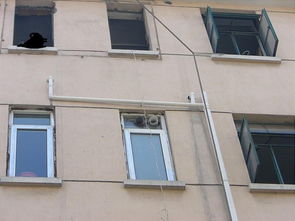 建筑与家居材料的革新与发展趋势